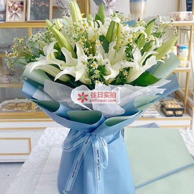 眉山8支白色多头百合洋甘菊，互倾的思念